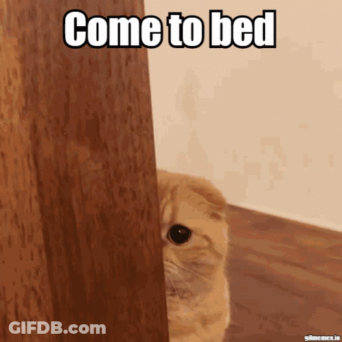 A Cat Peeking Out From Behind A Wooden Door With The Caption Come To Bed GIF