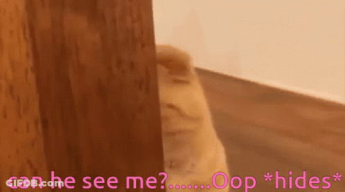 A Cat Peeking Out From Behind A Wooden Door With The Words Can He See Me Ooops * Hides * Below It GIF