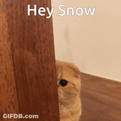 A Cat Peeking Out From Behind A Wooden Door With The Words Hey Snow Written Above It GIF