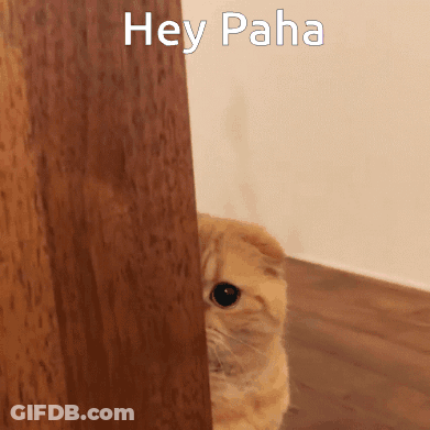 A Cat Peeking Out From Behind A Wooden Wall With The Words Hey Paha Written Above It GIF