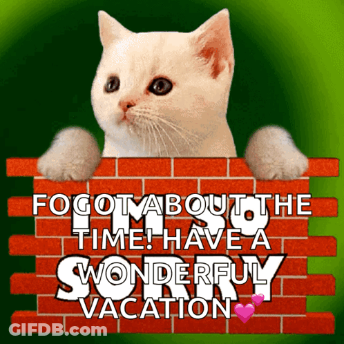 Cat Peeking Over Brick Wall Vacation Message GIF