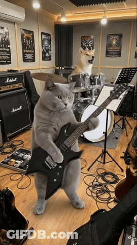 A Cat Playing A Guitar And A Dog Playing Drums In A Room With A Marshall Amplifier GIF