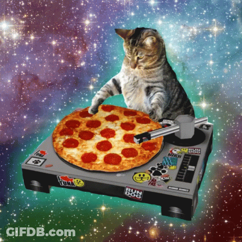 A Cat Playing A Pizza On A Turntable That Says Run Dog On It GIF
