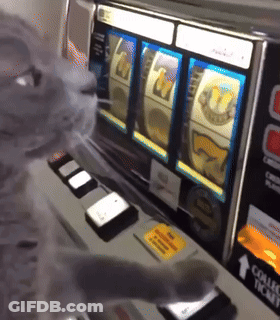 A Cat Playing A Slot Machine With A Collect Ticket Sticker On It GIF