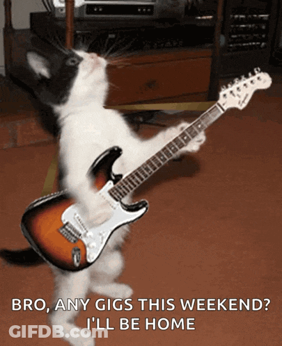 A Cat Playing An Electric Guitar With The Words Bro Any Gigs This Weekend I 'Ll Be Home GIF