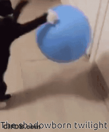 A Cat Playing With A Blue Ball With The Words The Shadowborn Twilight Written Below It GIF