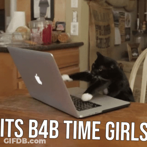 A Cat Playing With An Apple Laptop That Says " Its B4b Time Girls " On The Bottom GIF