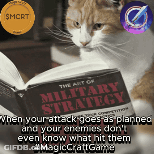 A Cat Reads The Art Of Military Strategy GIF