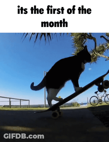 A Cat Riding A Skateboard With The Words " Its The First Of The Month " GIF