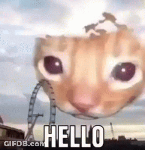 A Cat 'S Head Is Floating In The Air And Says Hello . GIF