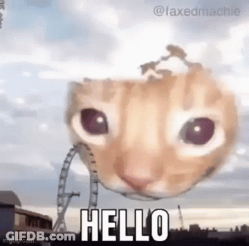 A Cat 'S Head Is Floating In The Sky With The Words `` Hello '' Written On It . GIF