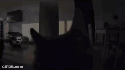 A Cat 'S Head Is Visible In A Dark Living Room GIF