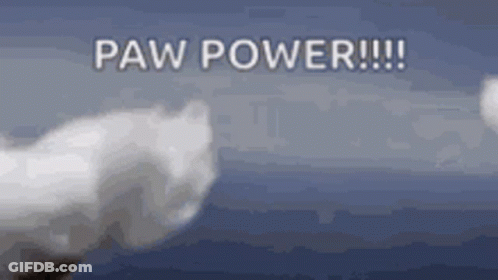 A Cat 'S Paw Is Flying Through The Air With The Words Paw Power Written On The Bottom . GIF