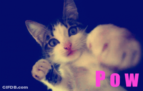A Cat 'S Paw Is Shown With The Word Pow In Pink GIF