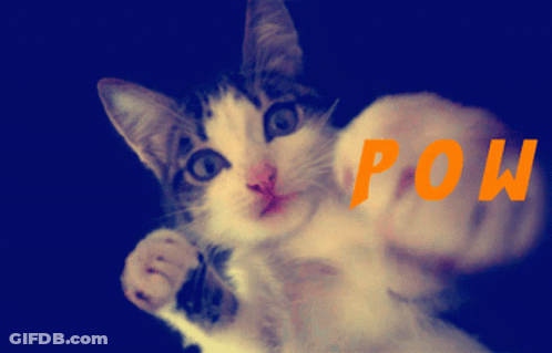 A Cat 'S Paw Is Shown With The Word Pow Written In Orange GIF
