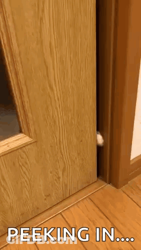 A Cat 'S Paw Is Sticking Out Of A Wooden Door With The Words Peeking In Written On The Bottom GIF