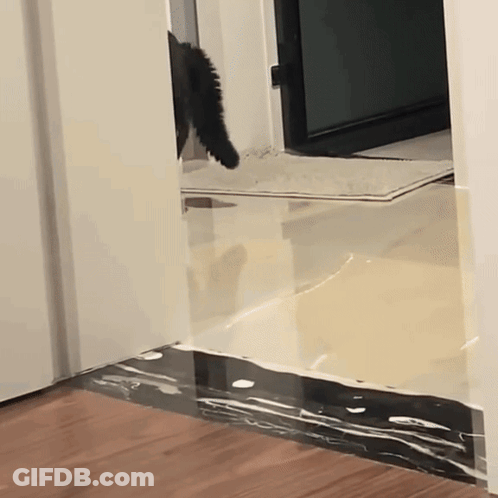 A Cat 'S Tail Is Visible Behind A White Door GIF