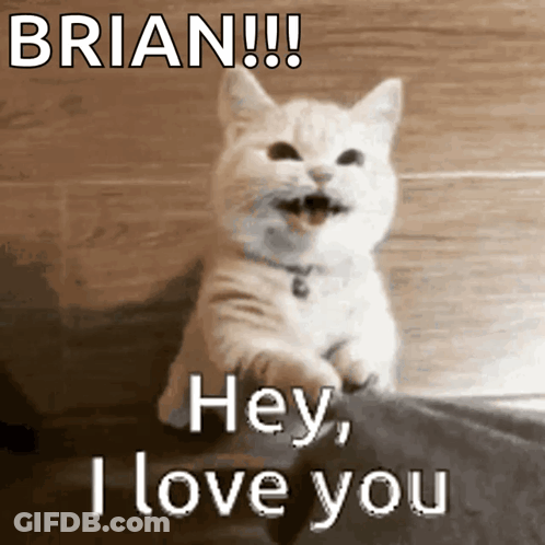 A Cat Says Brian Hey I Love You In Front Of A Wooden Wall GIF