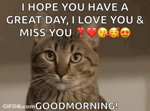 A Cat Says I Hope You Have A Great Day I Love You & Miss You Goodmorning GIF
