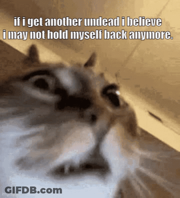 A Cat Says If I Get Another Undead I Believe I May Not Hold Myself Back Anymore . GIF