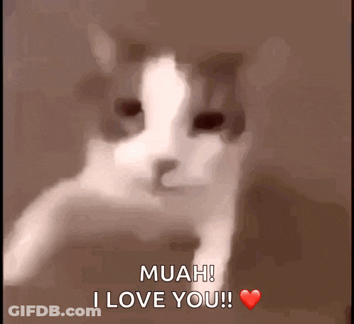 A Cat Says " Muah I Love You " With A Heart In The Background GIF