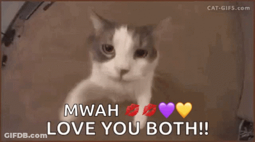 A Cat Says Mwah Love You Both With Purple Hearts And Kisses GIF