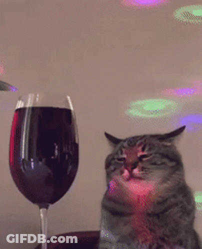 A Cat Sits Next To A Glass Of Wine GIF
