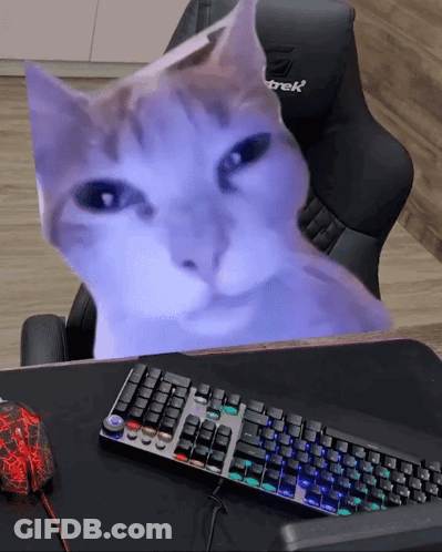 A Cat Sits On A Desk Next To A Keyboard And A Mouse GIF