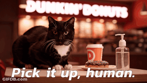 A Cat Sits On A Table In Front Of A Dunkin Donuts Sign GIF