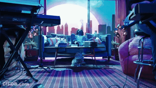 A Cat Sits On The Floor In Front Of A Keyboard GIF