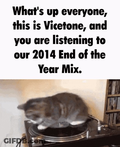 A Cat Sits On Top Of A Record Player With The Words " What 'S Up Everyone This Is Vicetone " Written Above It GIF