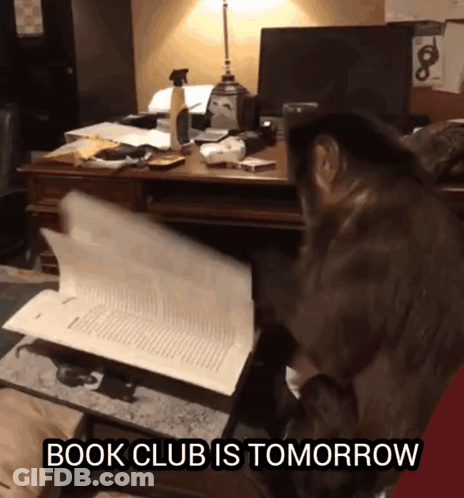 A Cat Sitting At A Desk With The Words Book Club Is Tomorrow On The Bottom GIF