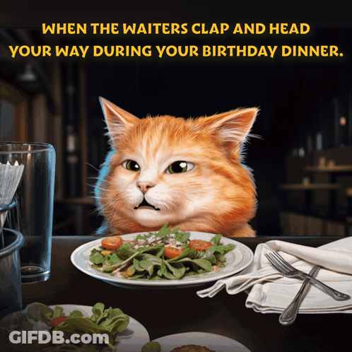 A Cat Sitting At A Table With A Plate Of Food And The Words " When The Waiters Clap And Head Your Way " GIF