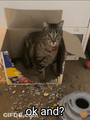 A Cat Sitting In A Cardboard Box With The Words Ok And Written Below It GIF