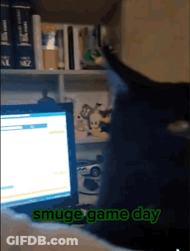 A Cat Sitting In Front Of A Computer With The Words Smuge Game Day Written On The Screen GIF
