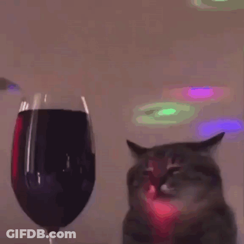 A Cat Sitting In Front Of A Glass Of Wine . GIF