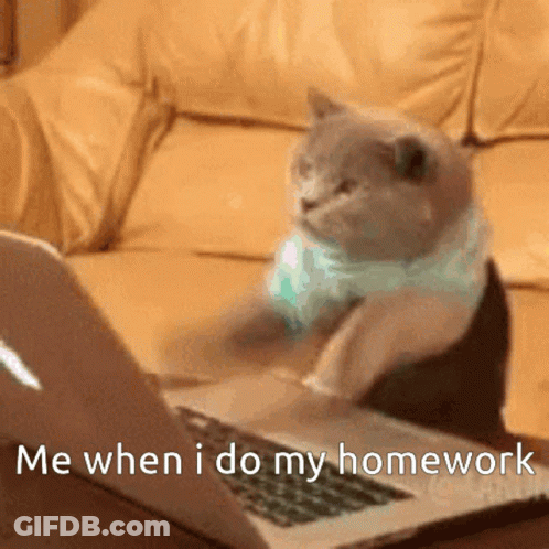A Cat Sitting In Front Of A Laptop With The Words Me When I Do My Homework GIF
