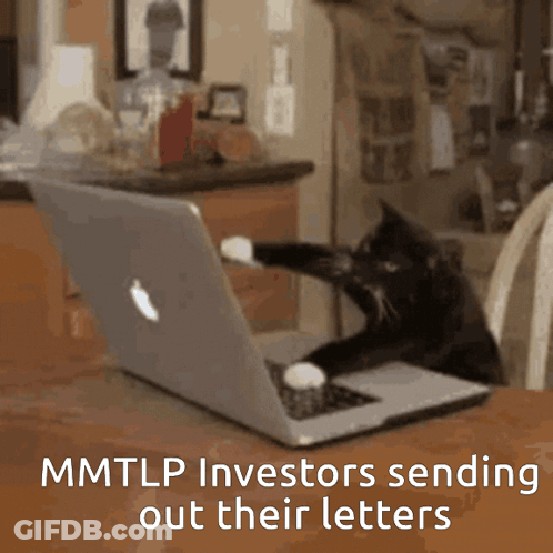 A Cat Sitting In Front Of A Laptop With The Words Mmtlp Investors Sending Out Their Letters Below It GIF