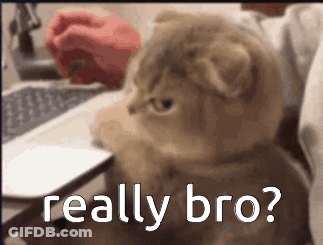 A Cat Sitting In Front Of A Laptop With The Words " Really Bro " On The Bottom GIF