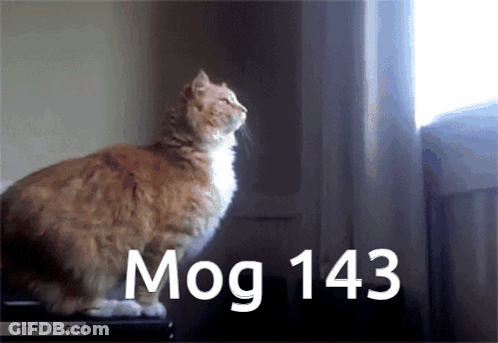 A Cat Sitting In Front Of A Window With The Words Mog 143 Written Below It GIF