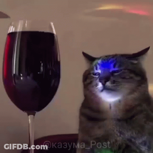 A Cat Sitting Next To A Glass Of Wine GIF