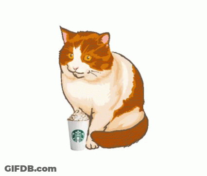A Cat Sitting Next To A Starbucks Cup GIF
