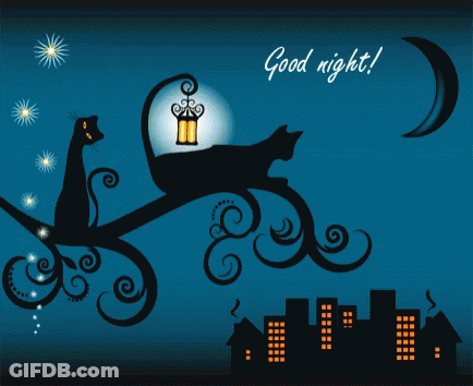 A Cat Sitting On A Branch With A Lantern And The Words Good Night Written Below It GIF