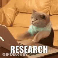 A Cat Sitting On A Couch Using A Laptop With The Word Research Written On The Screen GIF