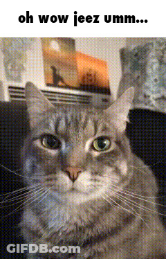 A Cat Sitting On A Couch With The Words Oh Wow Jeez Umm Written Above It GIF