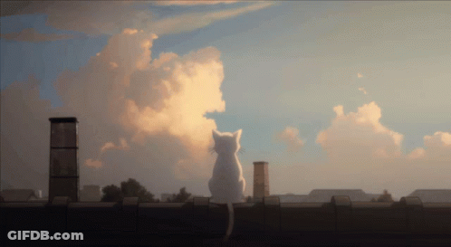 A Cat Sitting On A Roof Looking At The Sky GIF
