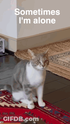 A Cat Sitting On A Rug With The Words Sometimes I 'M Alone GIF