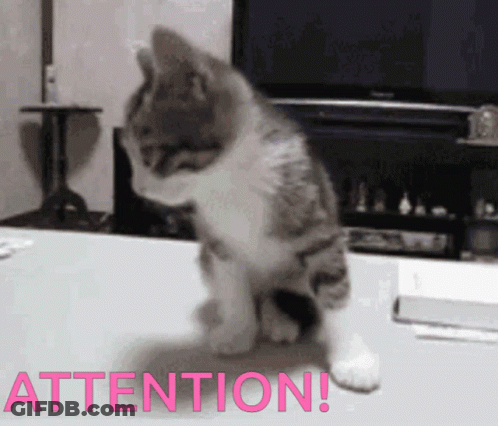 A Cat Sitting On A Table With The Word Attention Written On The Bottom GIF