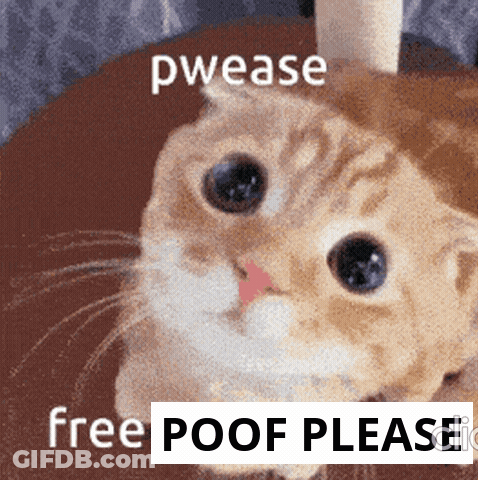 A Cat Sitting On A Table With The Words Pwease Free Poof Please Written Below It GIF