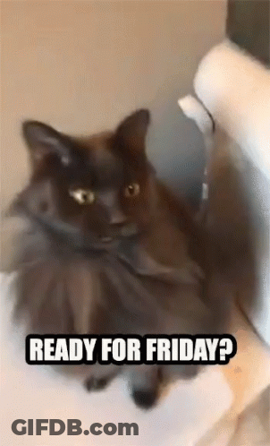 A Cat Sitting On A Toilet With The Words Ready For Friday GIF